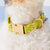 Sunny Meadow Dog Collar