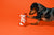 Thank You Pet Poop Bag
