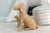 Large Potcake Rattan Dog