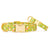 Sunny Meadow Dog Collar