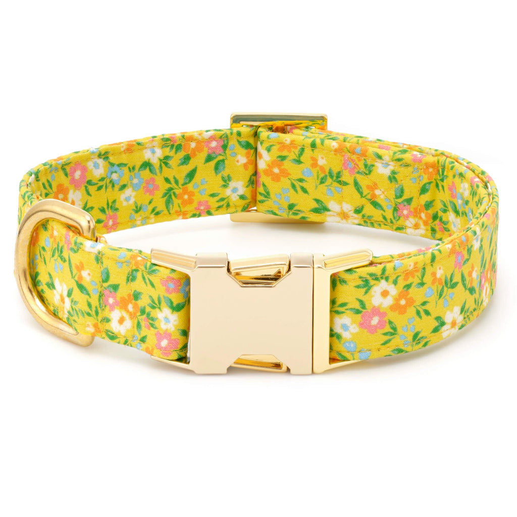 Sunny Meadow Dog Collar