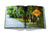 Tulum Gypset Book