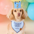Dog Birthday Crown & Numbers Set