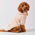 Pet Raincoat