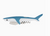 Shark Design Bottle Opener