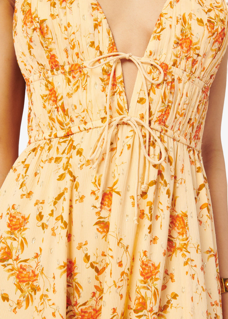 Dorinda Crinkle Chiffon Dress - Golden Hour