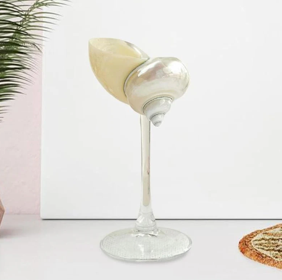 Sea Shell Glass Set - Clear