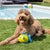 Pipsqueak Fish Floating Dog Toy