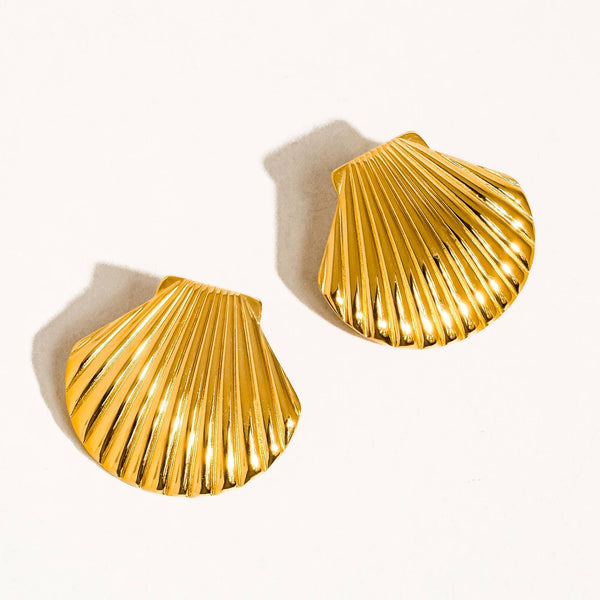 Cape Shell Studs