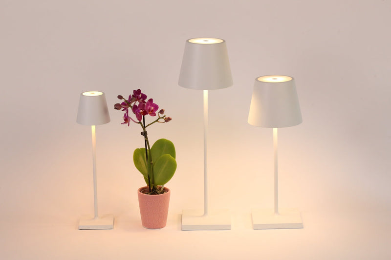 Poldina Pro Micro Table Lamp