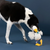 Goose On The Loose Plush Dog Toy