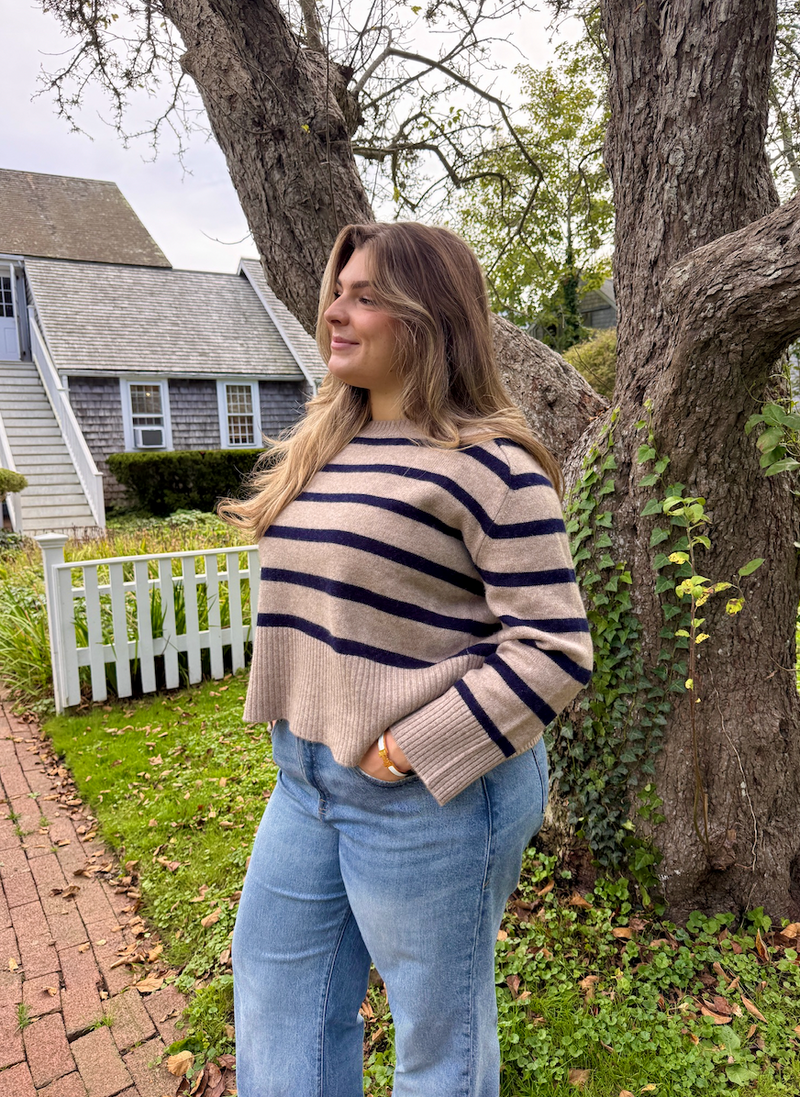Stripe Perfect Day Crew