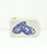 Oyster Shell Coin Purse