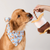 S'more Interactive Snuffle Toy