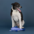 The Reel Deal Fish Floating Dog Toy