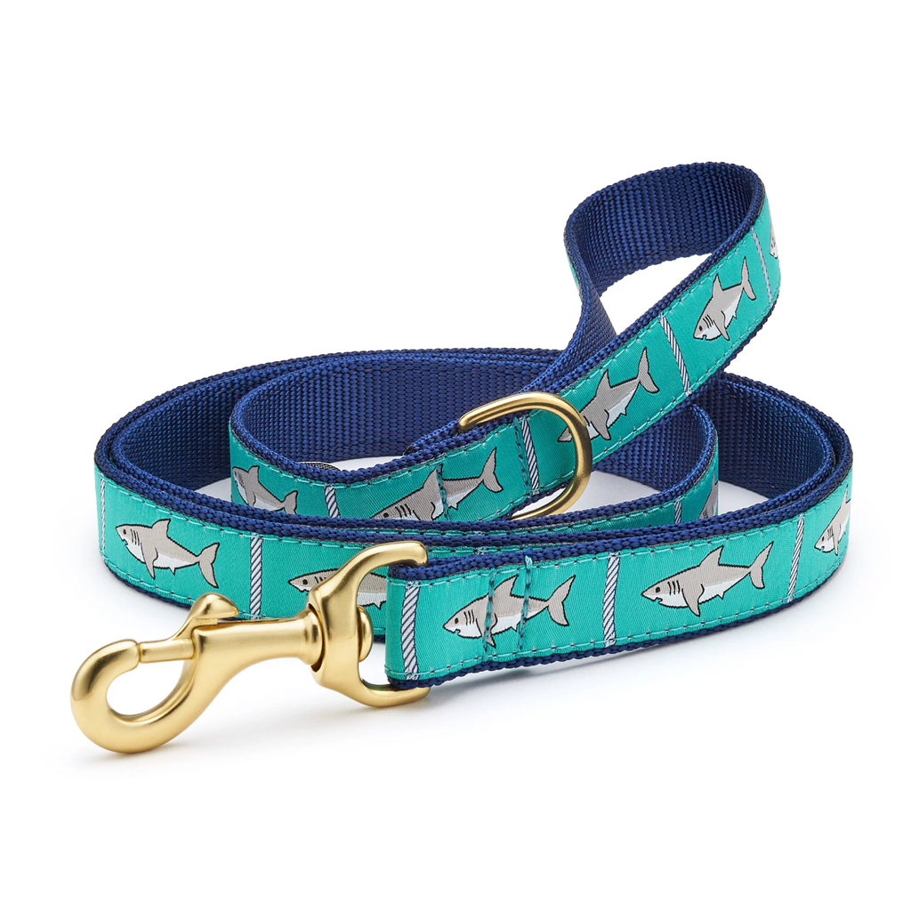 Ribbon Dog Leash - Wide