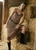 Lizette Camisole - Brown Gingham
