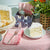 Amanda Lindroth Petite Stripe Napkin Set - Watermelon