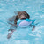 Splashy Floating Dog Toy