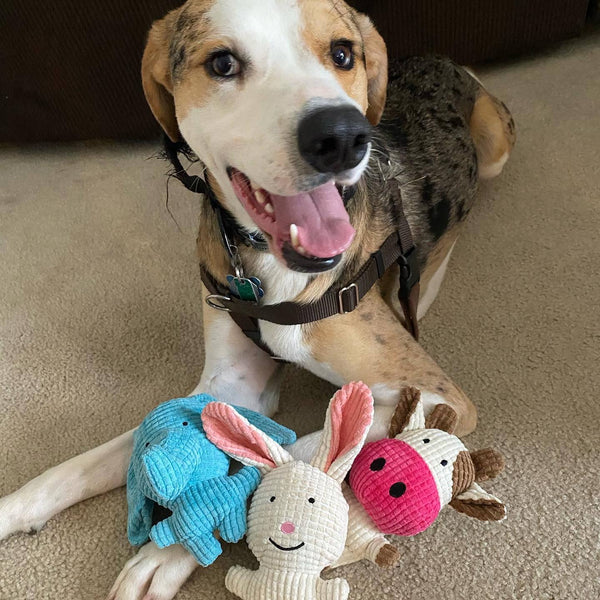 Small Cow Plush Dog Toy