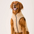 Foggy Dog Navy Sherpa-Lined Reversible Dog Jacket