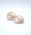 Shell Napkin Ring Set
