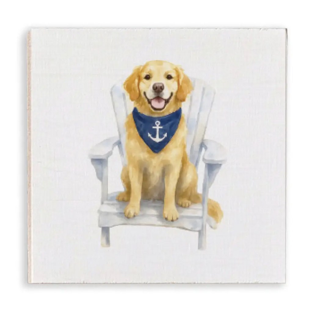 Coastal Dog Coaster Set