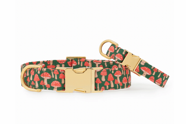 Mushroom Meadow Dog Collar