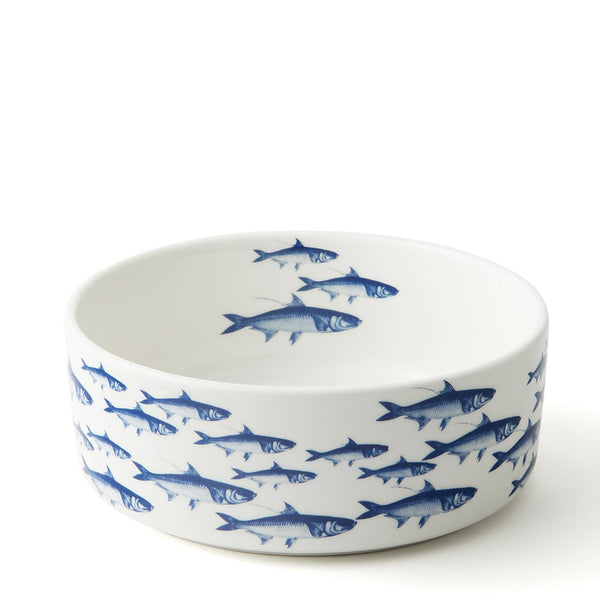 School Of Fish Pet Bowl - Medium
