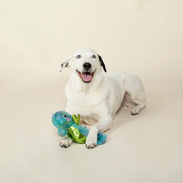 Shelly Seahorse Dog Toy