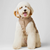 Foggy Dog Fawn Sherpa-Lined Reversible Dog Jacket