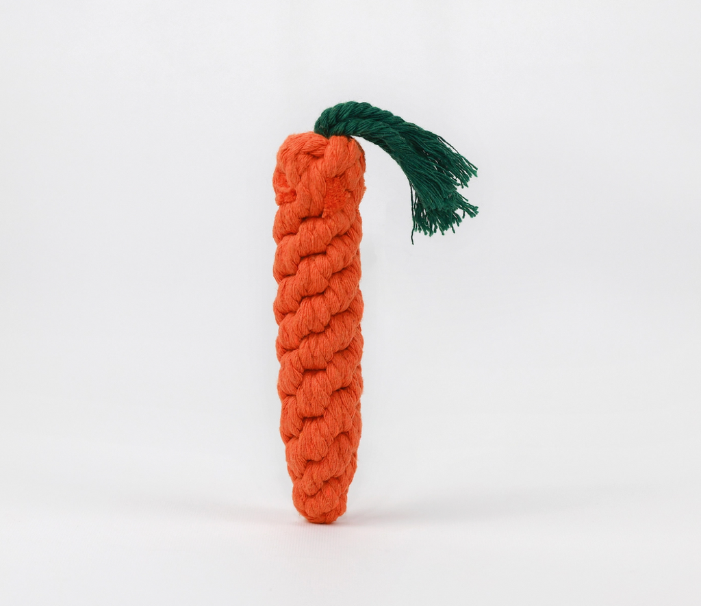 Carrot Rope Dog Toy