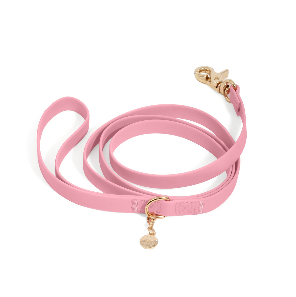 Waterproof Cloud Dog Leash