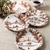 Country Estate Harvest Party Plate Assorted Set