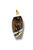 Tidekeeper Shell Pendant