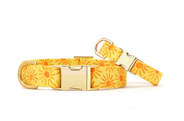 Here Comes The Sun Dog Collar
