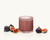 Large Cylindre Candle - Figue