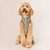 Foggy Dog Olive Reversible Dog Jacket