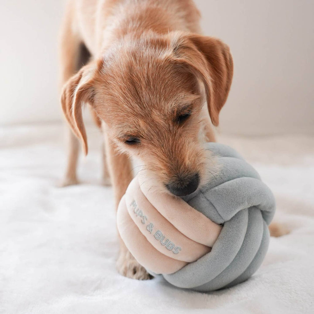 Knot Nosework Snuffle Dog Toy