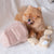 Popcorn Nosework Snuffle Dog Toy