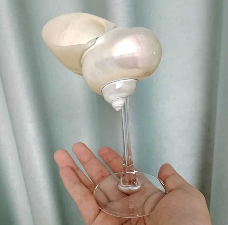 Sea Shell Glass Set - Clear