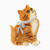 Kyoto Kitten Claw Hair Clip