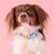 Foggy Dog Hydrangea Dog Collar