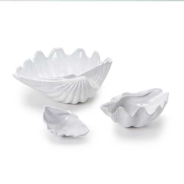 Fluted Clam Shell - Large