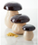 Mushroom Box - Large