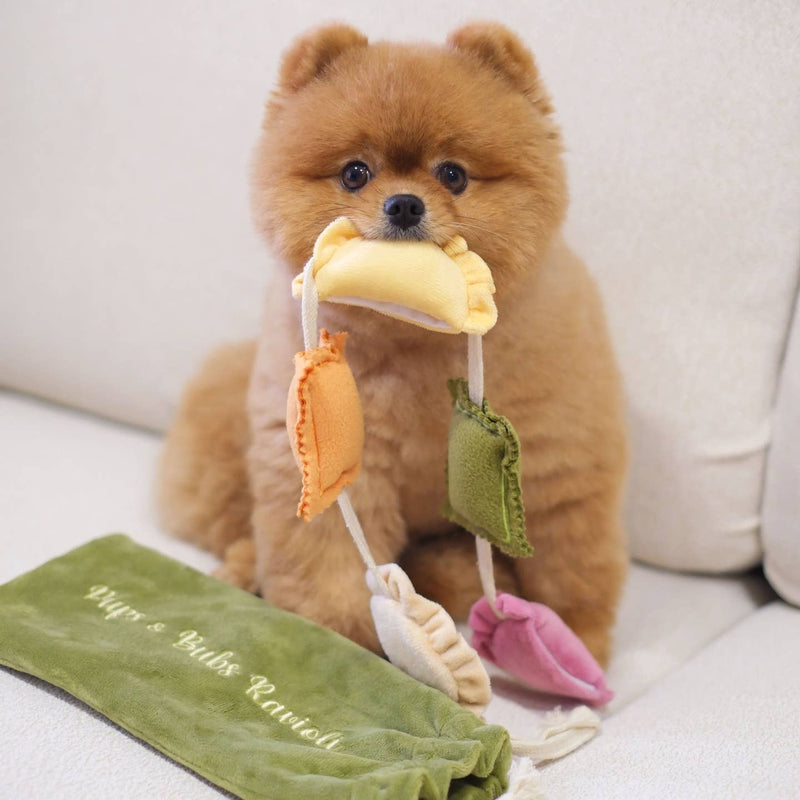 Cabbage Nosework Snuffle Dog Toy