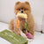 Cabbage Nosework Snuffle Dog Toy