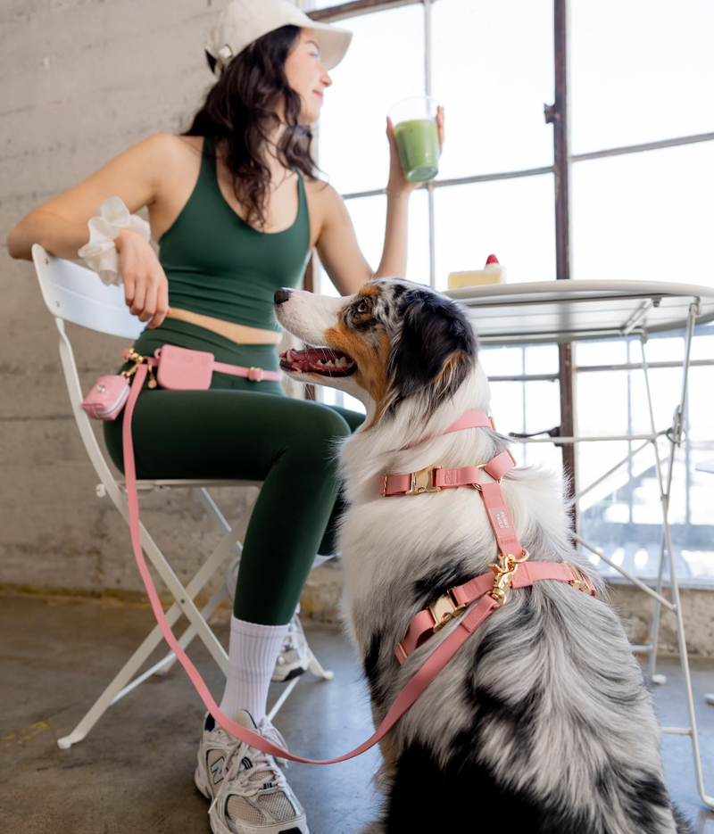 Snap Dog Treat Pouch