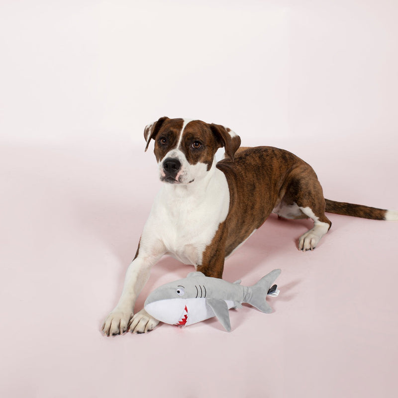 Feeling Sharky Plush Dog Toy