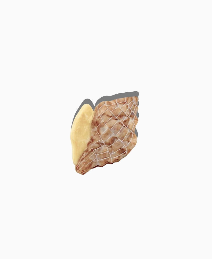 Tulip Conch Shell Claw Hair Clip